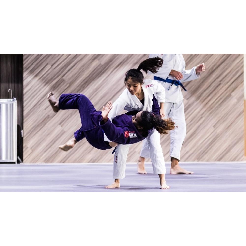 Martial arts equipment